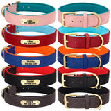 Custom Engraved Dog Collar Padded Leather With Personalized  ID Plate