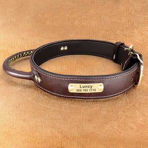 Personalized Leather Dog Collar ID Tag For Medium Large Dogs Training  Control