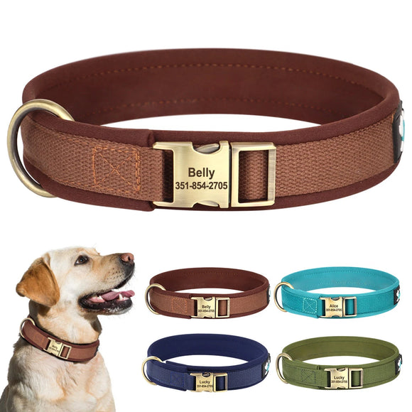Personalized Leather Dog Collar Soft Padded Durable ID for Small Medium Large Dogs