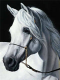 5D DIY Diamond painting full square/ round drill "Horses"