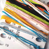 DIY Pin Cushion Cross-stitch embroidery sets 14ct