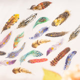 10 pcs/lot Beautiful feather Stickers PET DIY scrapbooking junk journal