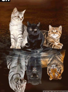5D DIY Diamond embroidery Painting Kits -Full Square / Round Drill "Animal cat reflections"-Scrap n Patch