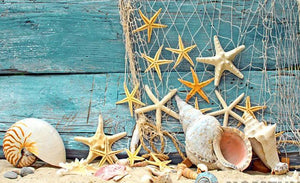 5D DIY Diamond embroidery Painting Full Square/Round Drill  "Starfish Shell" - Scrap n Patch