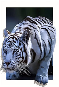 5D DIY Diamond Art Painting Kits -Full Square / Round Drill  "White Tiger"