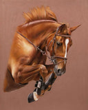 5D diamond embroidery painting full round/ square "Horses"