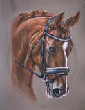 5D diamond embroidery painting full round/ square "Horses"