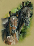 5D diamond embroidery painting full round/ square "Horses"