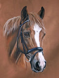 5D diamond embroidery painting full round/ square "Horses"