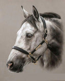 5D diamond embroidery painting full round/ square "Horses"