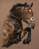 5D diamond embroidery painting full round/ square "Horses"