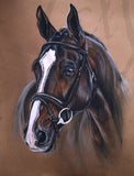 5D diamond embroidery painting full round/ square "Horses"