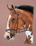 5D diamond embroidery painting full round/ square "Horses"