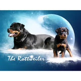 5D diamond embroidery painting full round/ square "Rottweilers - dogs"