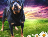 5D diamond embroidery painting full round/ square "Rottweilers - dogs"