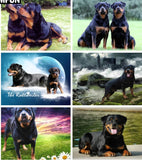 5D diamond embroidery painting full round/ square "Rottweilers - dogs"