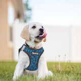 No Pull Nylon Mesh Dog Harness Reflective Adjustable for Small Medium Dogs