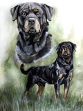 5D diamond embroidery painting full round/ square "Rottweilers - dogs"