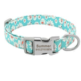 Customized Printed Nylon Pet Collar Dog Collar for Small Medium Large Dogs Pug