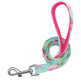 Personalized Dog Collar Nylon with  Leash option Pet Nameplate For Small Medium