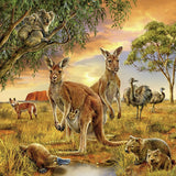 5D DIY Diamond Art Painting Kits -Full Square Drill "Australian Animals"