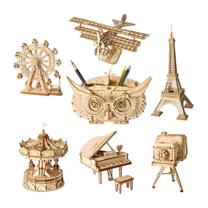 DIY 3D Wooden Puzzle Model Toys Plane Merry Go Round Ferris Wheel