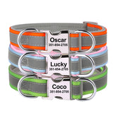 Reflective Personalized Dog Collar ID Nylon Collar Soft Padded  for Small to Large Dogs