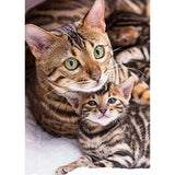 5D diamond embroidery painting full round/ square "Cats set 2"