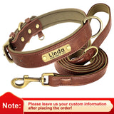 Personalized Dog Collar PU Leather leash option for Small to Large Dogs