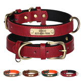 Personalized Dog Collar Leather ID Nameplate Soft Adjustable Free Engraving for Small Medium Large Dogs