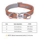 Reflective Personalized Dog Collar ID Nylon Collar Soft Padded  for Small to Large Dogs