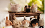 No face dog cartoon animal sets  wool needlepoint kit DIY handmade kit