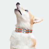 Reflective Personalized Dog Collar ID Nylon Collar Soft Padded  for Small to Large Dogs