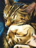 5D diamond embroidery painting full round/ square "Cats"