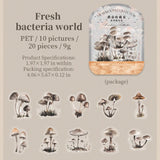 20Pcs Mushroom Collector Stickers Junk Journal DIY scrapbooking