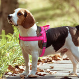 Dog Harness Vest Soft Padded Pet Training Harnesses  Adjustable For Small -Large dogs