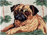 Latch hook DIY rug kit preprinted " Pug " approx 52x38cm