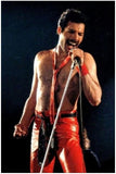 5D DIY Diamond embroidery Painting Kits -Full Square / Round Drill  "Queen -Freddie Mercury"