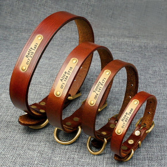 Personalized Dog ID Collar - Genuine Leather Small Medium Dogs