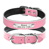 Personalized Leather Cat Collar Cat Adjustable with Kitten Nameplate