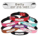 Personalized Leather Cat Collar Cat Adjustable with Kitten Nameplate