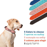 8 Colors Personalized Dog Collar -Padded Leather -option of leash