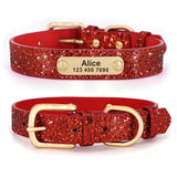 Personalized Leather Cat Collar Cat Adjustable with Kitten Nameplate