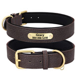 Custom Engraved Dog Collar Leather Padded  With Personalized  ID Plate Tag