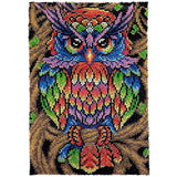 Latch hook DIY rug kit preprinted "Owl " approx 58x85 CM