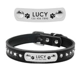 Personalized Leather Cat Collar Cat Adjustable with Kitten Nameplate