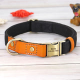 Nylon Dog Collar Personalized Engraved ID Tag Nameplate w- leash option for Small Medium Large Dogs