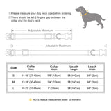 Nylon Dog Collar Personalized Engraved ID Tag Nameplate w- leash option for Small Medium Large Dogs