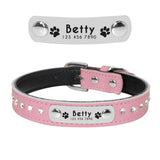 Personalized Leather Cat Collar Cat Adjustable with Kitten Nameplate