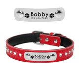 Personalized Leather Cat Collar Cat Adjustable with Kitten Nameplate